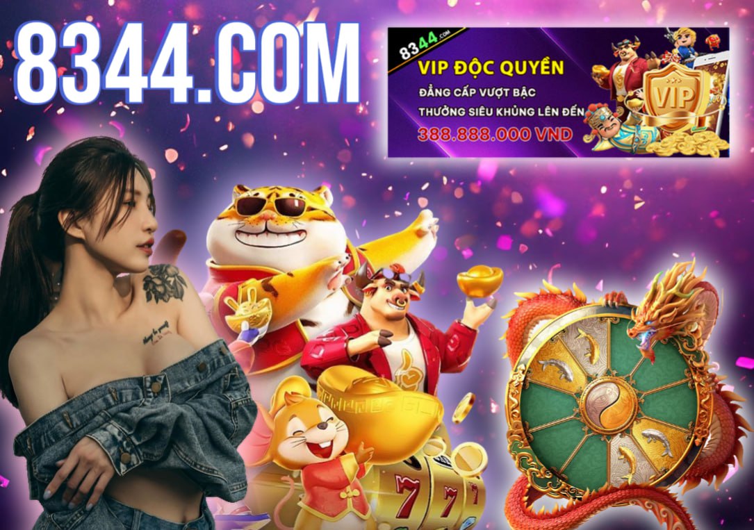 Hình ảnh quảng cáo của qibet hiển thị nền tảng và các lợi ích