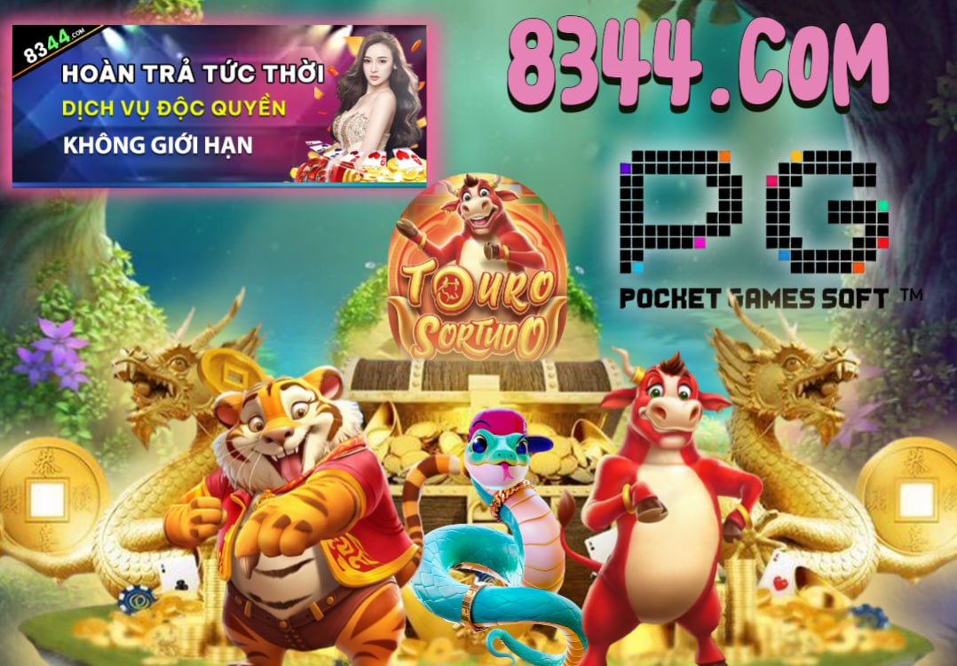 Hình ảnh quảng cáo của qibet hiển thị nền tảng và các lợi ích