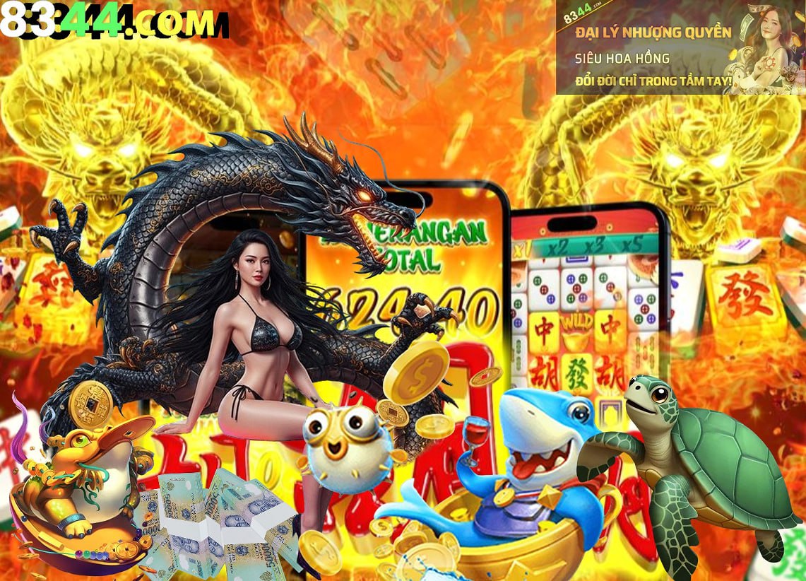 Hình ảnh quảng cáo của qibet hiển thị nền tảng và các lợi ích